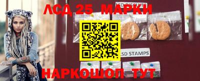 индика Кунгур