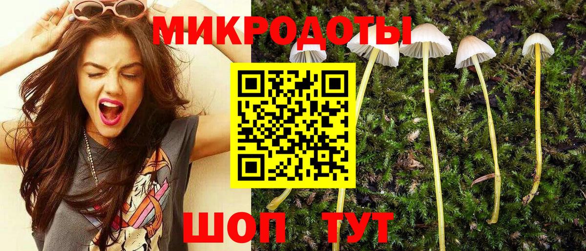 Бошки Шишки Тольятти
